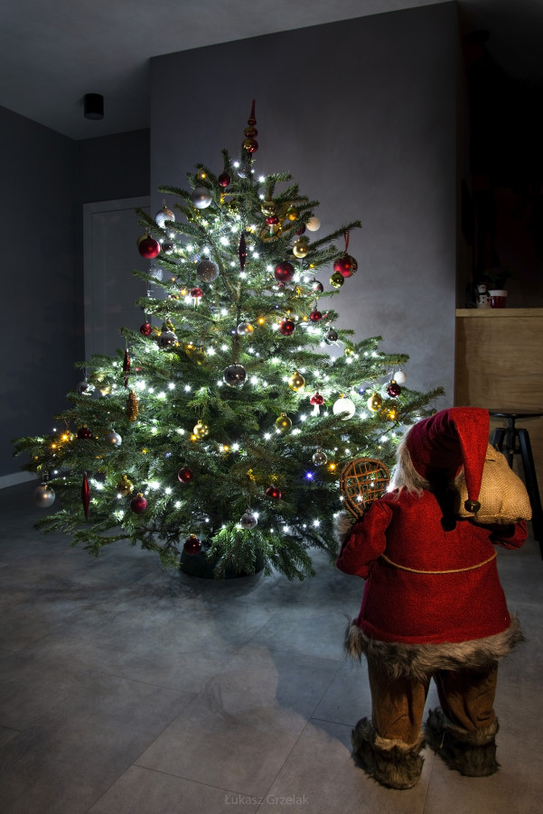 Choinka 2022 c.jpg